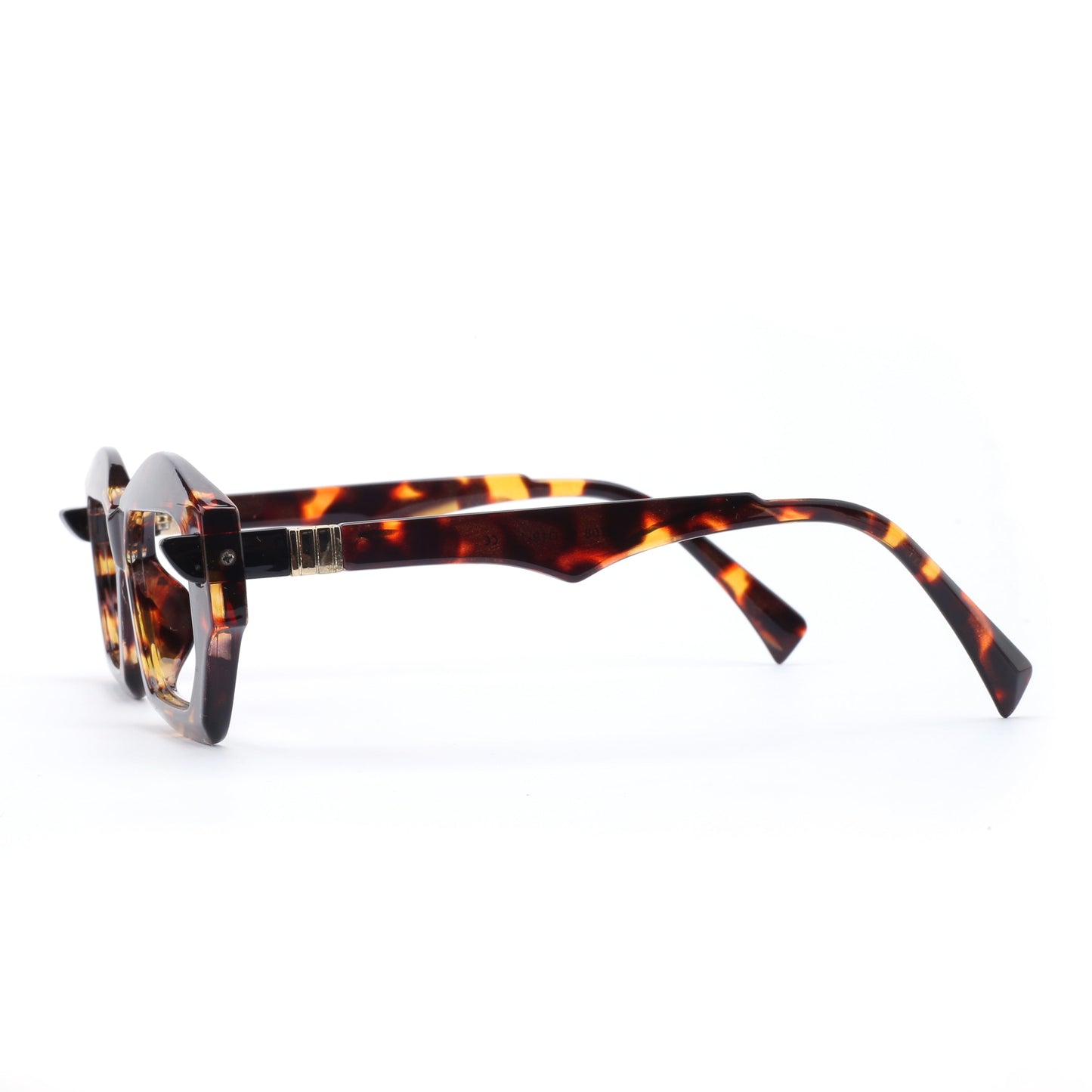 #color_tortoise