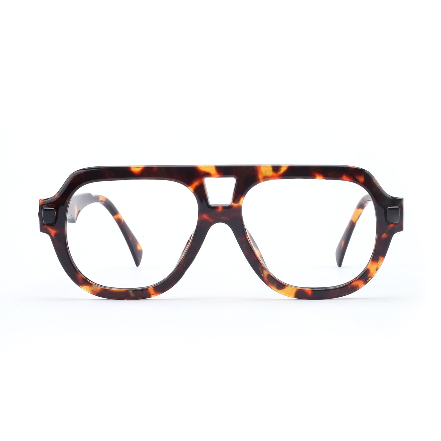 #color_tortoise