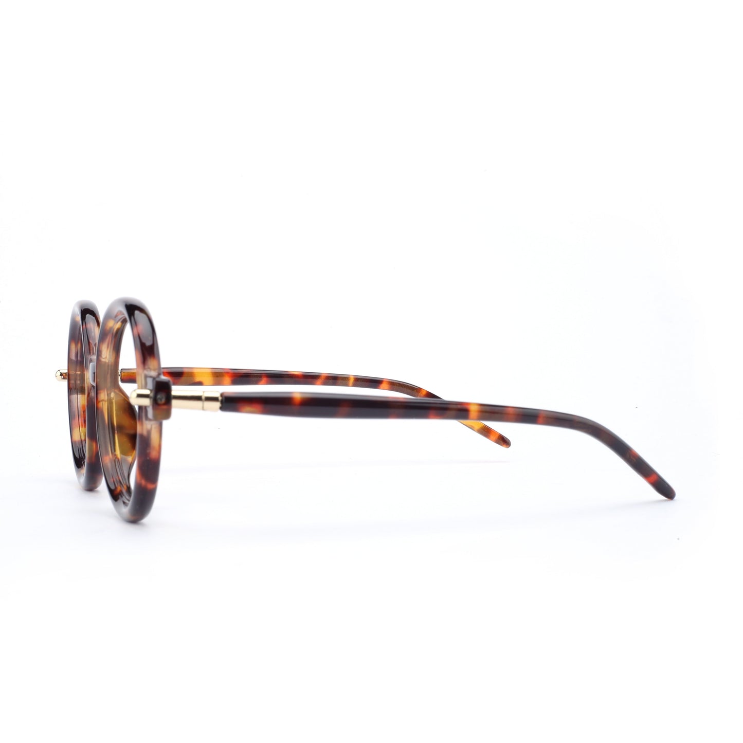 #color_classic tortoise