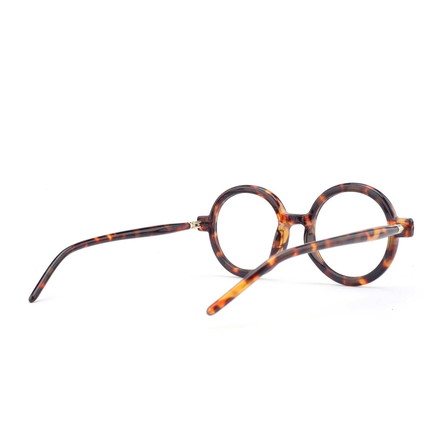 #color_classic tortoise
