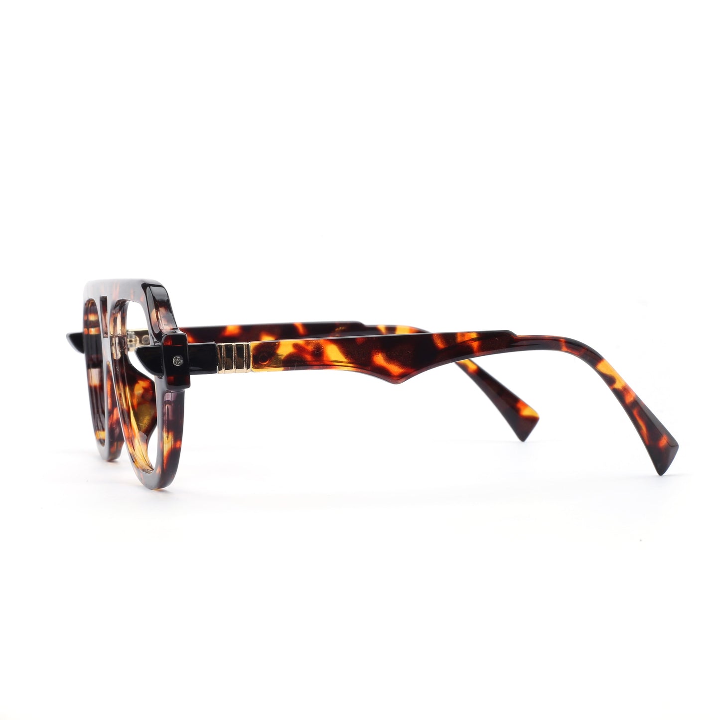 #color_tortoise