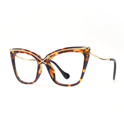 #color_tortoise