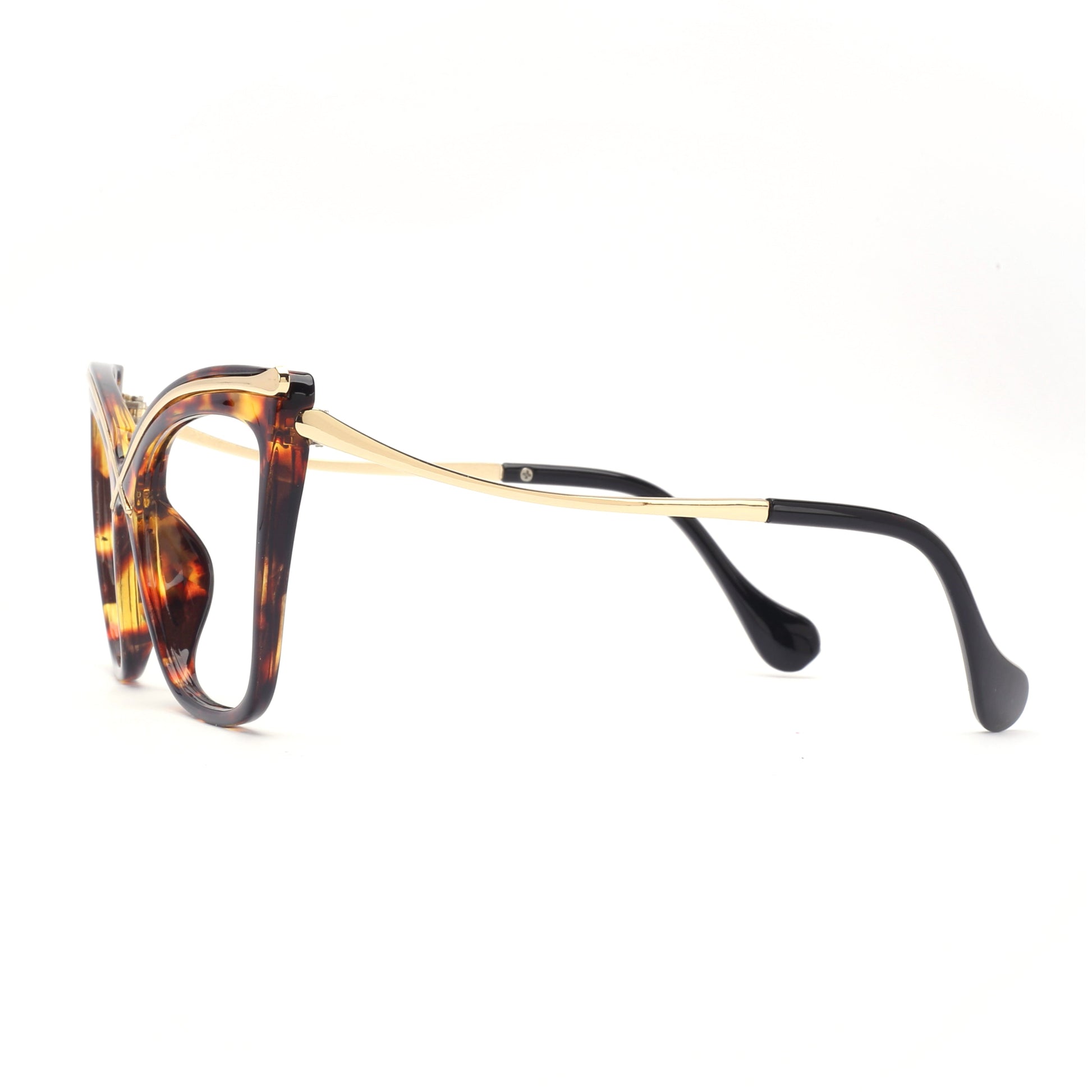 #color_tortoise