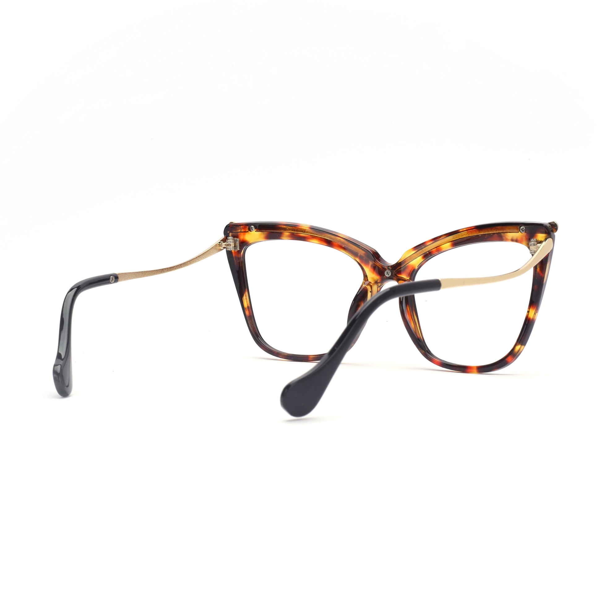 #color_tortoise