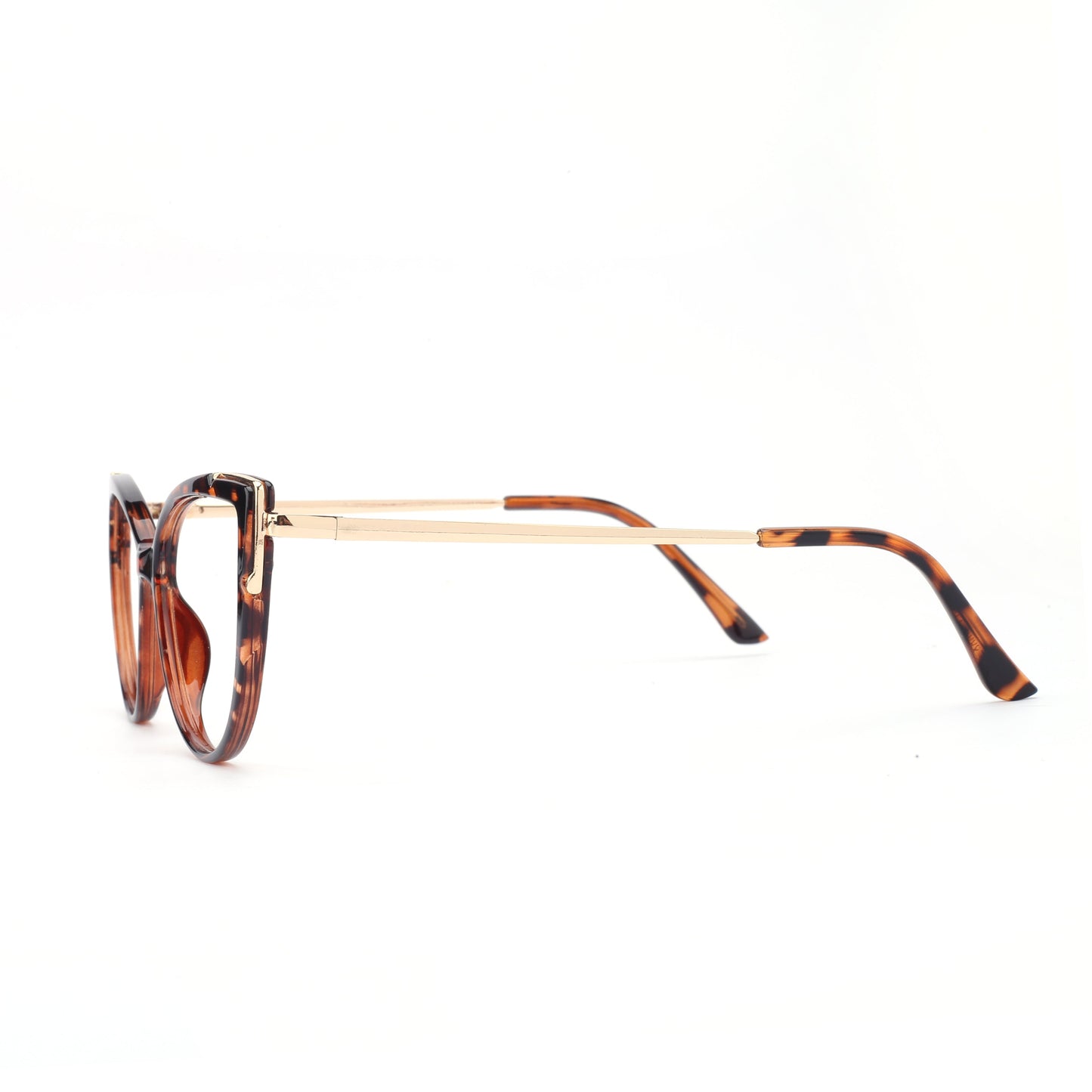 #color_tortoise brown