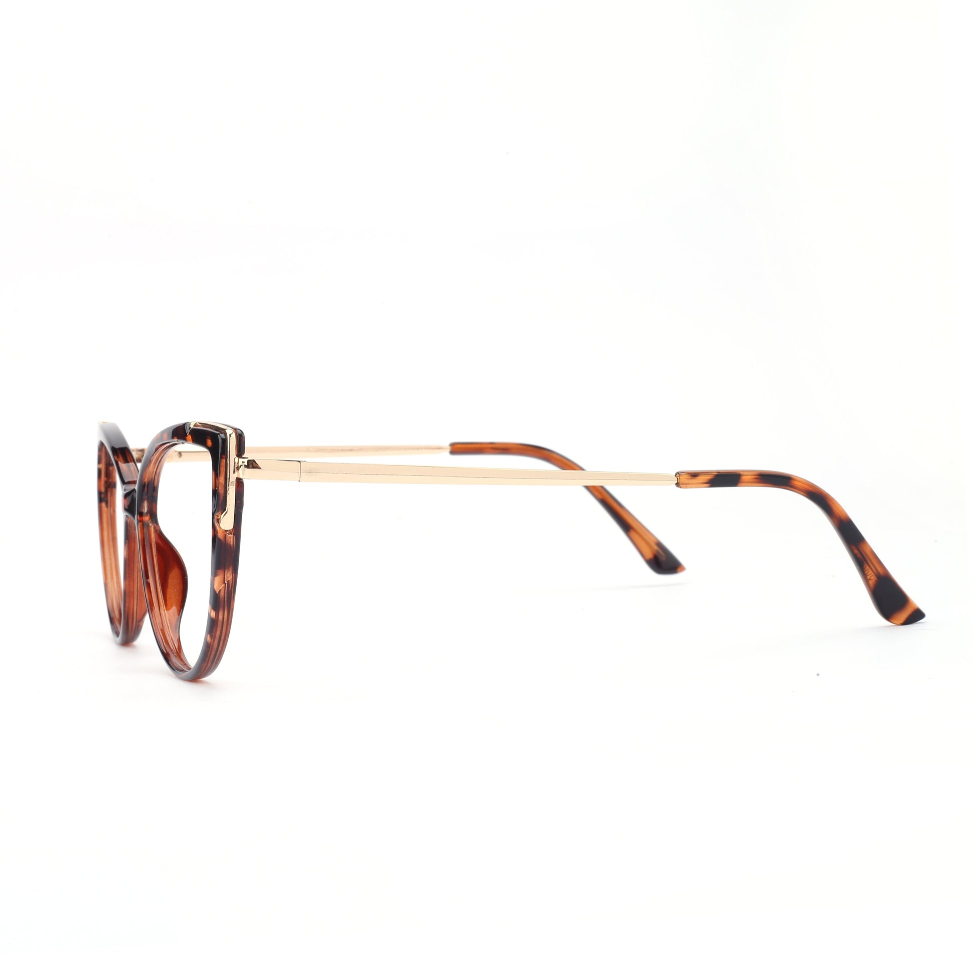 #color_tortoise brown