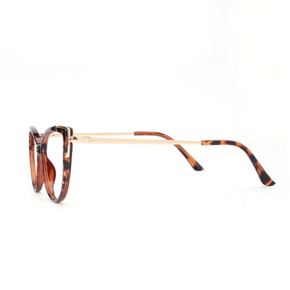 #color_tortoise brown
