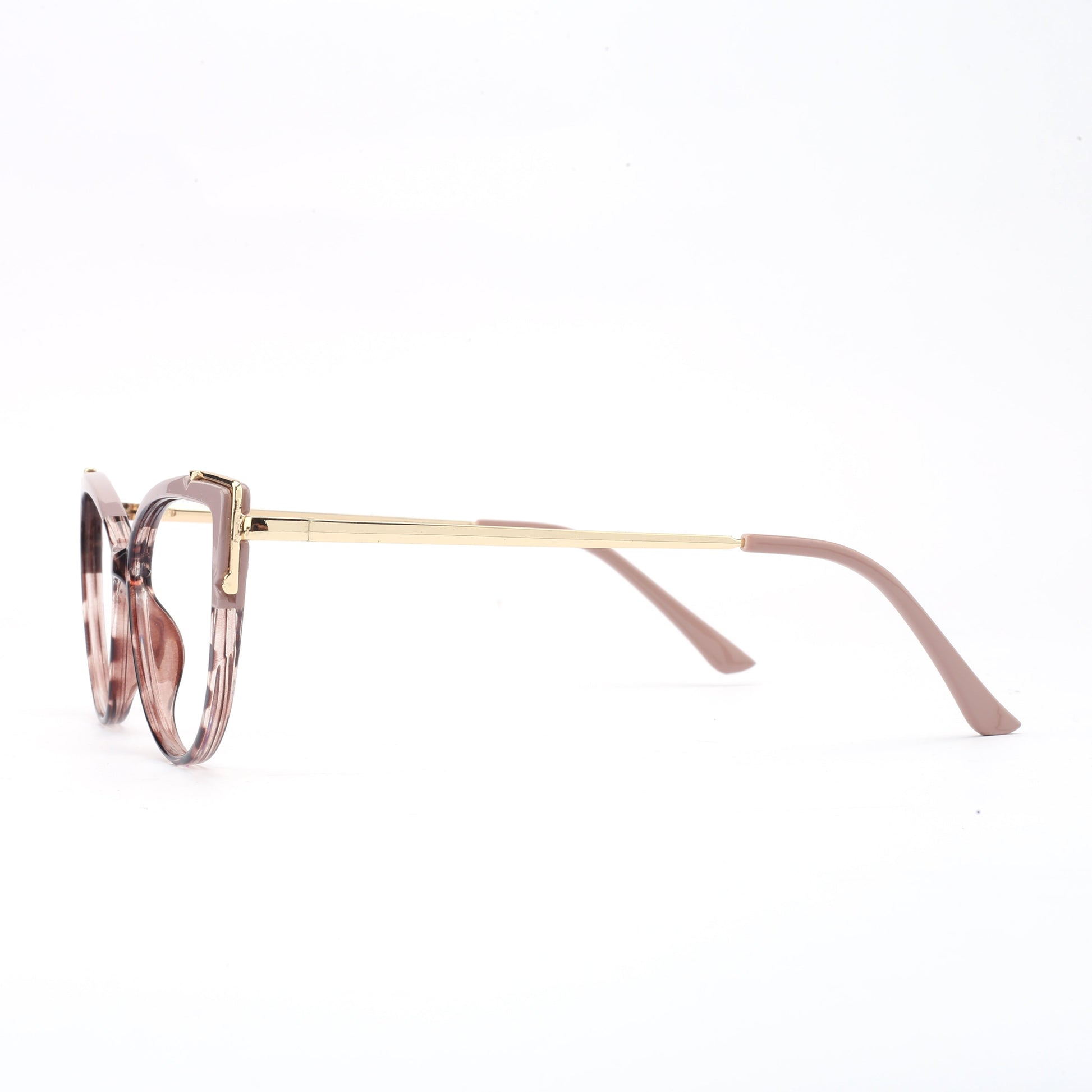 #color_mauve tortoise