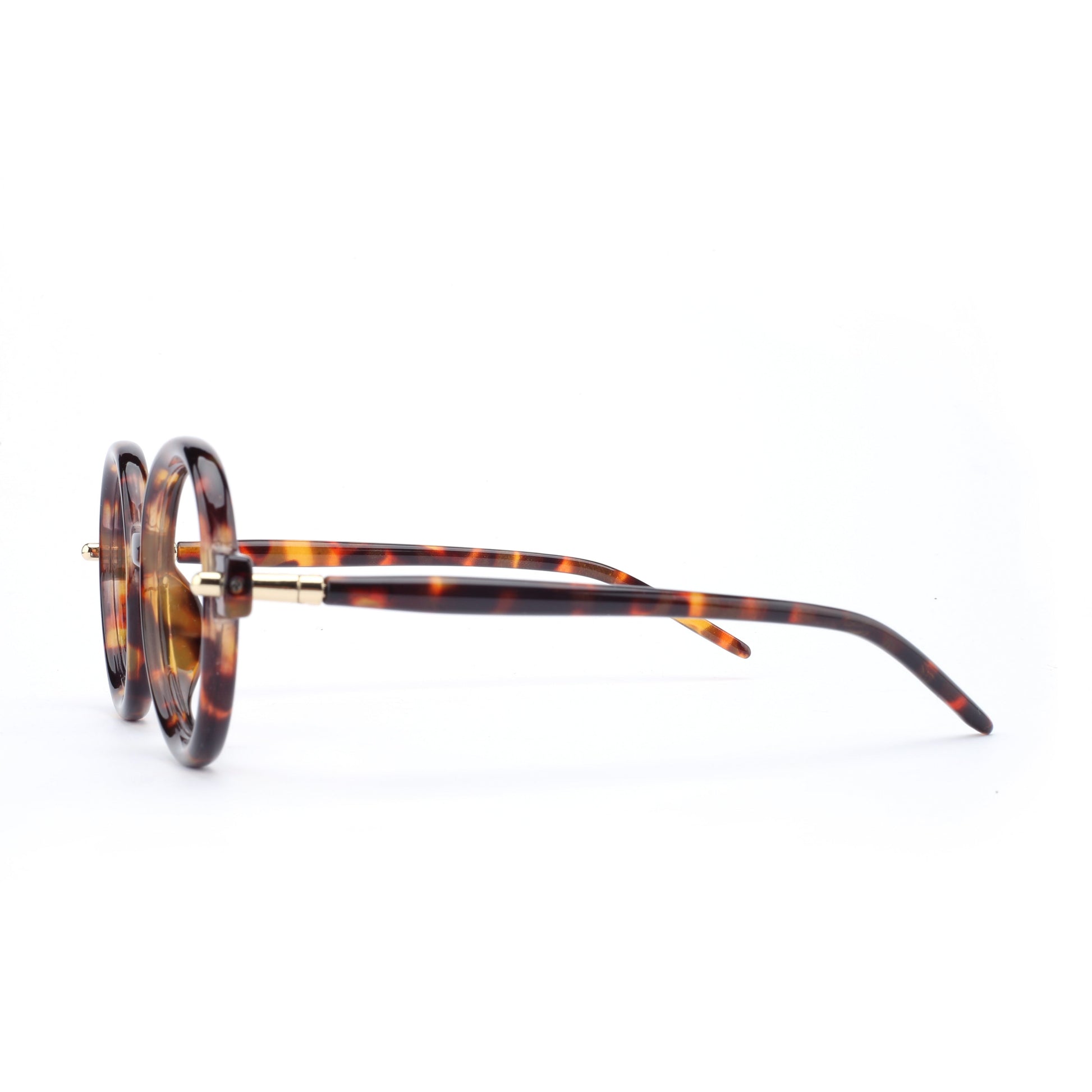 #color_classic tortoise
