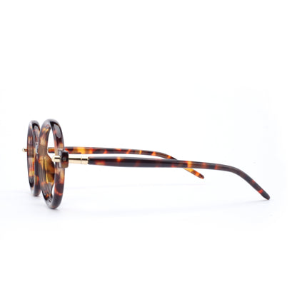 #color_classic tortoise