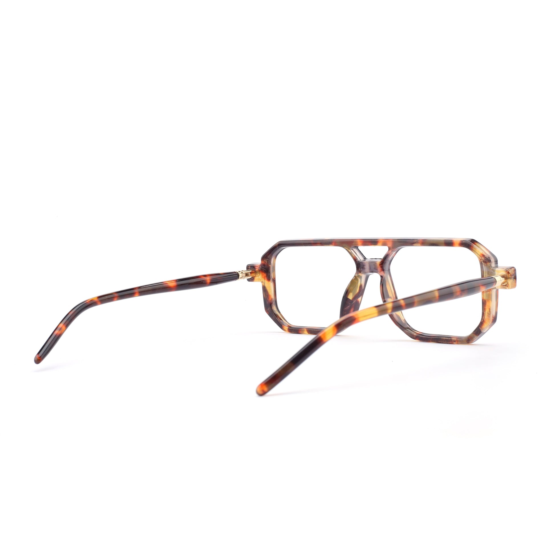 #color_tortoise