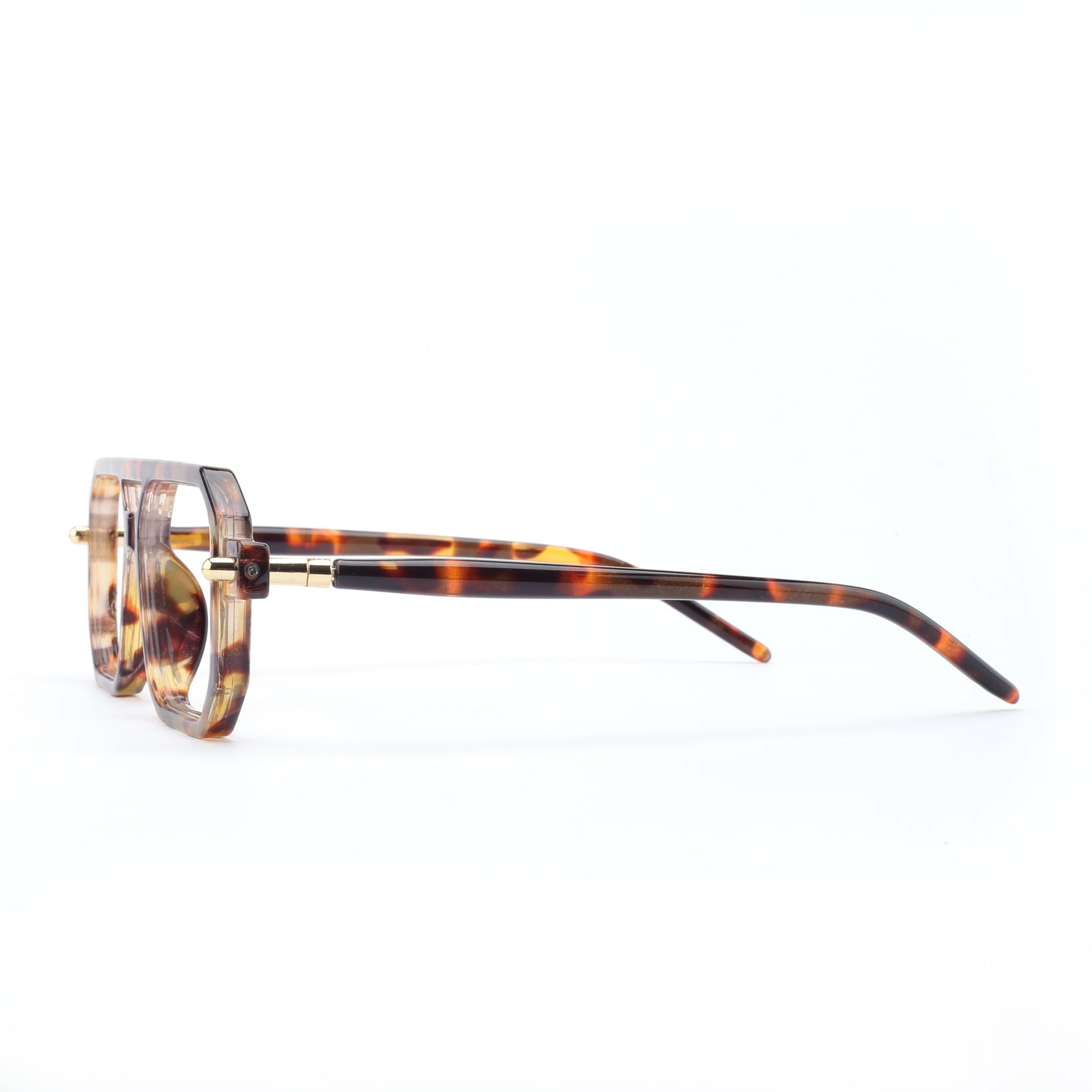 #color_tortoise